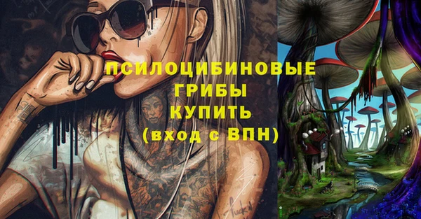 марки lsd Краснослободск