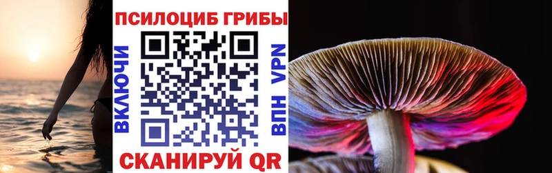Псилоцибиновые грибы GOLDEN TEACHER цена наркотик OMG ССЫЛКА Мурино